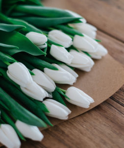tulipanes-paquetes